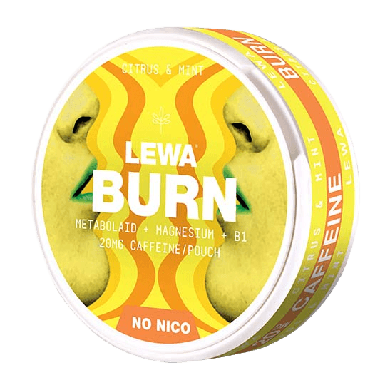 LEWA BURN Citrus Mint