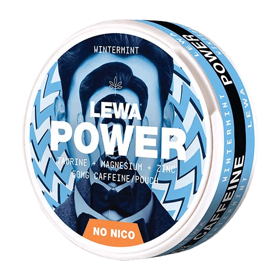 LEWA POWER Functional Wintermint