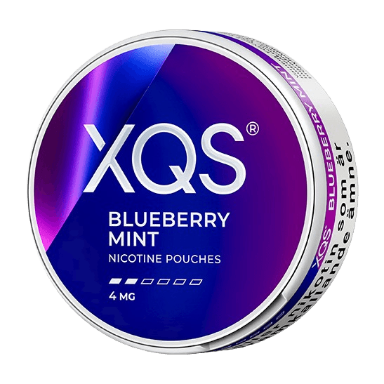 XQS Blueberry Mint
