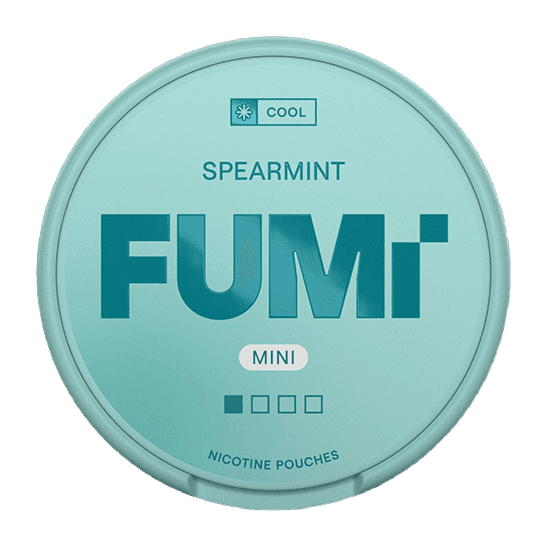 FUMi Spearmint Mini Regular