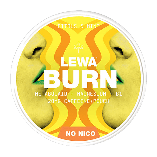 LEWA BURN Citrus Mint
