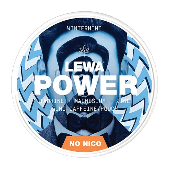 LEWA POWER Functional Wintermint