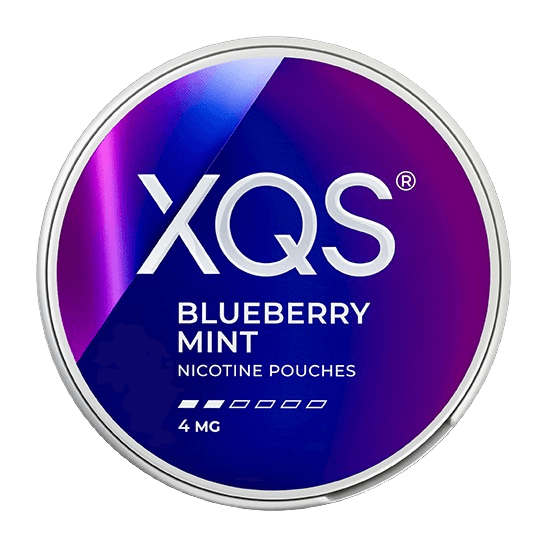 XQS Blueberry Mint