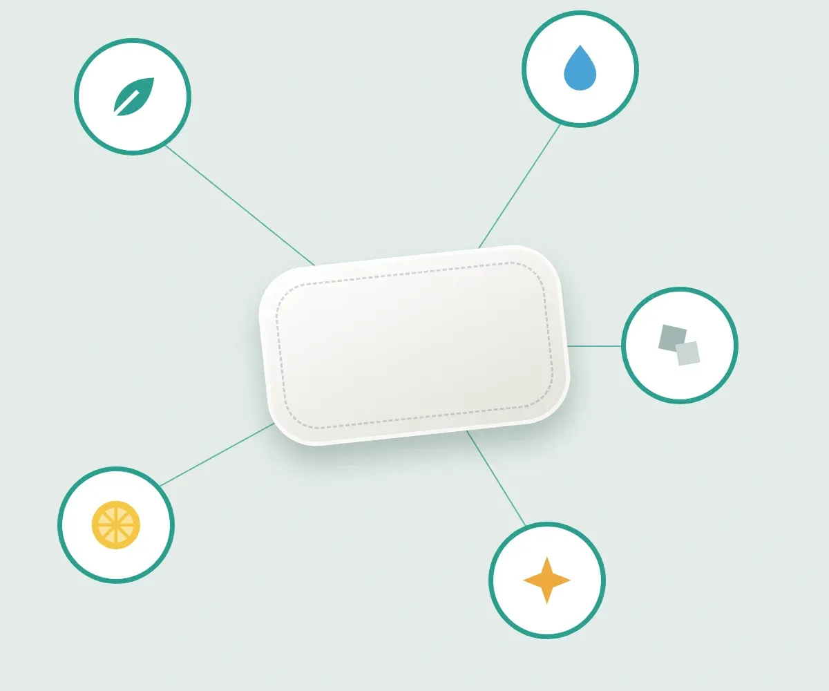 Diagram of a nicotine-free pouch with icons for plant material, water, salt, sweetener and aroma
